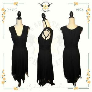 Redux Philip Dicaprio Elegant Black 100% Silk V-Neck Formal Dress Sz 4